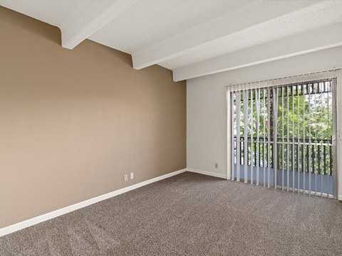 Large Windows in Living room!
